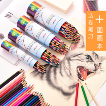 Deli water-soluble color lead color pencil brush Professional hand-drawn art supplies Drawing tools 36 colors 48 colors Oily color lead painting drawing coloring pencil Primary school children color lead set