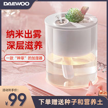 South Korea Daewoo Usb Mini Humidifiers Home Mute Office Portable Potted Plant Small Ecological Species Grass