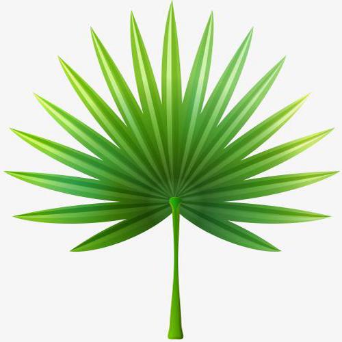 编织人家
