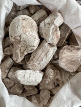 Anguo Chinese medicinal materials market wholesale wild dragon bone green dragon bone raw dragon bone large pieces sucking tongue 1000g