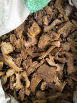 Anguo Traditional Chinese Medicine Market wholesales Xidahuangchuan Rhubarb and Horseshoe Raw Rhubarb 1000g