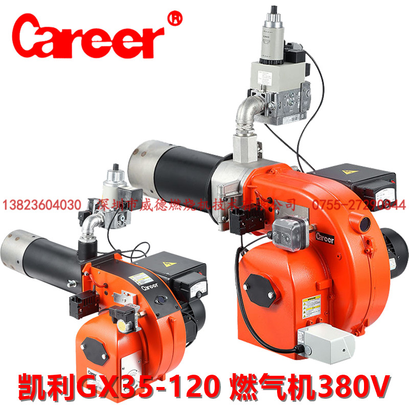 Kelly Career Gas Liquefied Gas Combustion Engine GX35-120 Boiler Steam Hot Water Oven Furnace End 380V