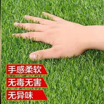 Grass Paving Lawn Mat Lawn Mat Splicing School Plastic Artificial Supermarket Thickened Green Pure Color Carpet Green Plant Anti Slip