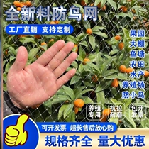 Bird-proof gauze No flower Fruit walled mesh Robust Stop Bird Mesh Protective Plants Special New Shield Multifunction