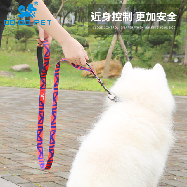 DODOPET dog leash, giant dog walking leash, large, medium, small and medium-sized dogs, outdoor colorful leash collar