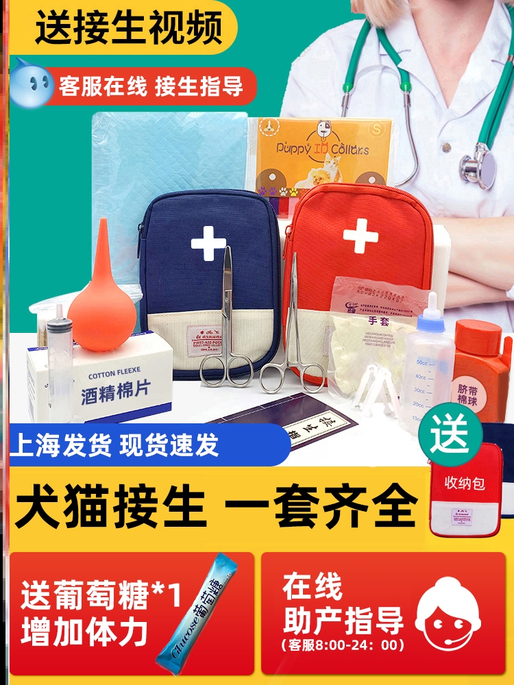 Kittens To Be Produced Kits Care Pregnancy Special Production Tools Breeding Coshed Birth Delivery Full Suite Of Young Cat Suits