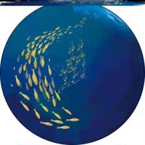 Sports Ground Mat Sports Shock Absorbing Soundproofing Ground Mat Indoor Gym Special Rubber Widening for Thickened Beginners