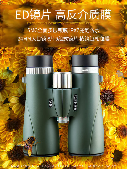 Panda-Fernglas, leistungsstarkes, hochauflösendes Nachtsichtgerät in professioneller Qualität, auf der Suche nach Bienen und Wespen, Konzert-Vogelbeobachtungsbrille