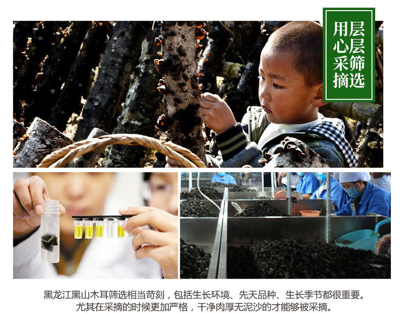 Северо -восточный черный гриб_05.jpg