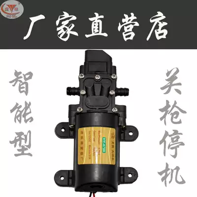 Huyue 12v water pump hy4700 pressure pump shut down gun washer water pump accessories suction pump spray motor