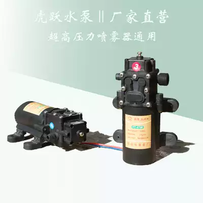 HY-4700 Huyue 12V high pressure diaphragm pump agricultural electric sprayer pump micro spray pump booster pump
