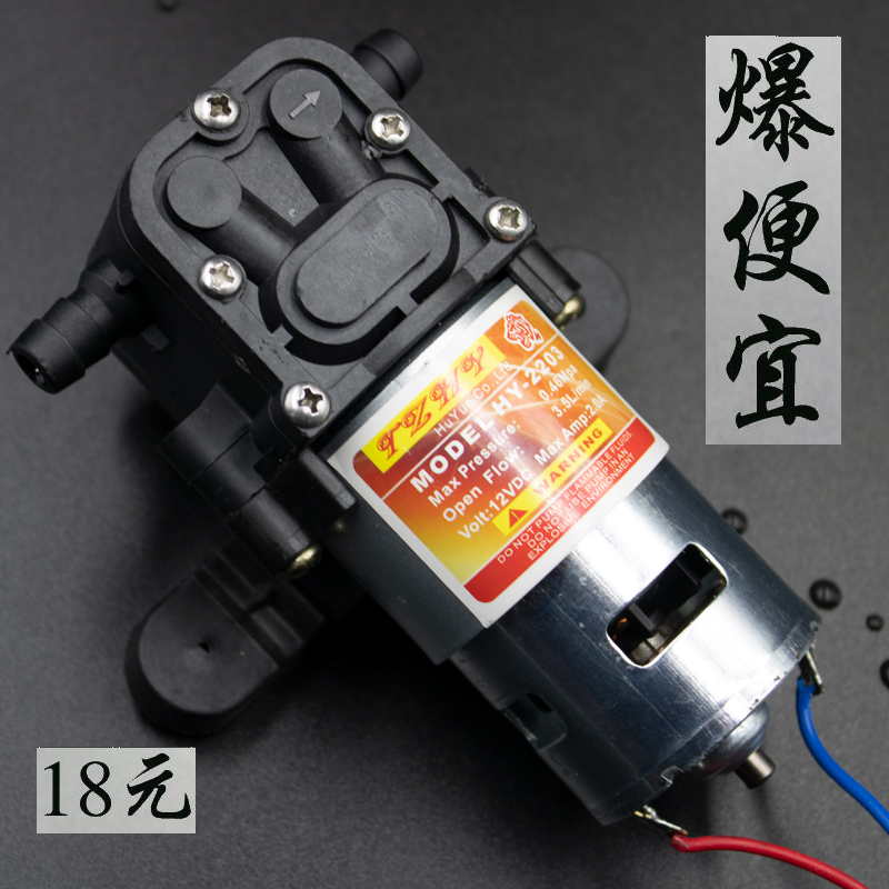 Agricultural Electric Nebulizer Accessories Large Total Tiger Leapfrog Water Pump Sprayer Motor 12v high-pressure pump Spray Pot small motor f