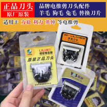 Lili Wolf English Gentry pet electric clipper head wool scissor blade dog shearing and shaving original universal knife head