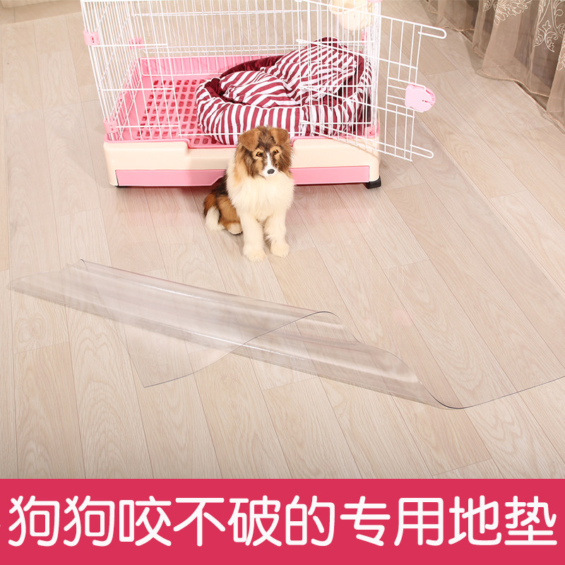 Pet pad dog waterproof and urine-proof special floor pad easy to clean anti-bite dog pad bite-resistant teddy golden retriever summer cat pad