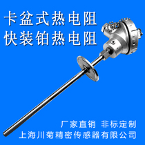 Sanitary temperature sensor Pt100 platinum thermal resistance Chuck type thermal resistance WZP-431