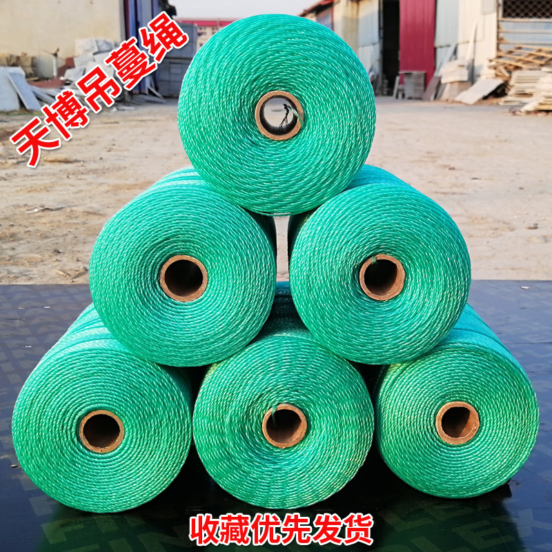 Greenhouse Hoist Rope Handmade Vegetable Cucumber Plastic Rope Polyethylene Nylon Rope Climbing Rattan Rope Grass Pennter Plant Pull