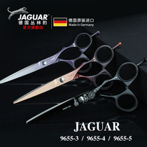  JAGUAR German Jungle Leopard hair clipper professional hair scissors flat scissors imported 9655-3 4 5