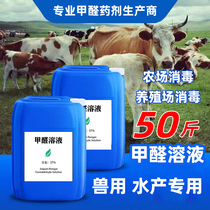 Industrial Formaldehyde Aqueous Solution 50 Catty Large Barrel Preservative Pig Farm Cattle Sheep Ring Aquatic Disinfectant Formalin Solvent