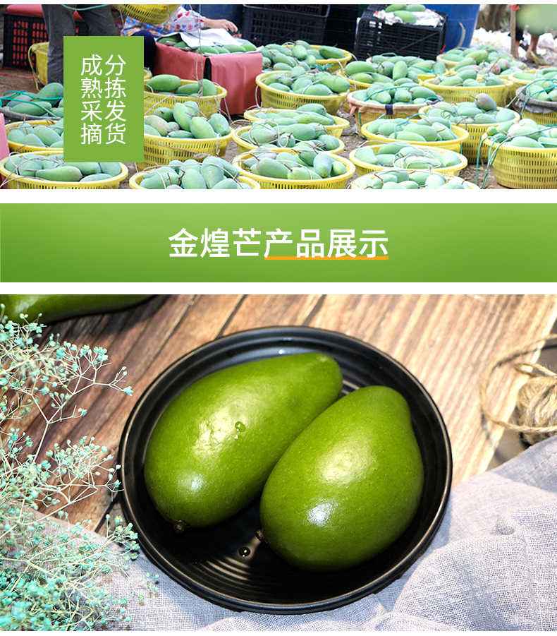 广西百色 金煌芒 净重5斤 单果200g+ 图7