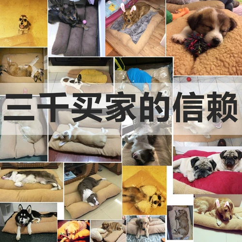 Снос собачьего гнезда может вымыть зимнее гнездо плюшевого животного в большой собаке