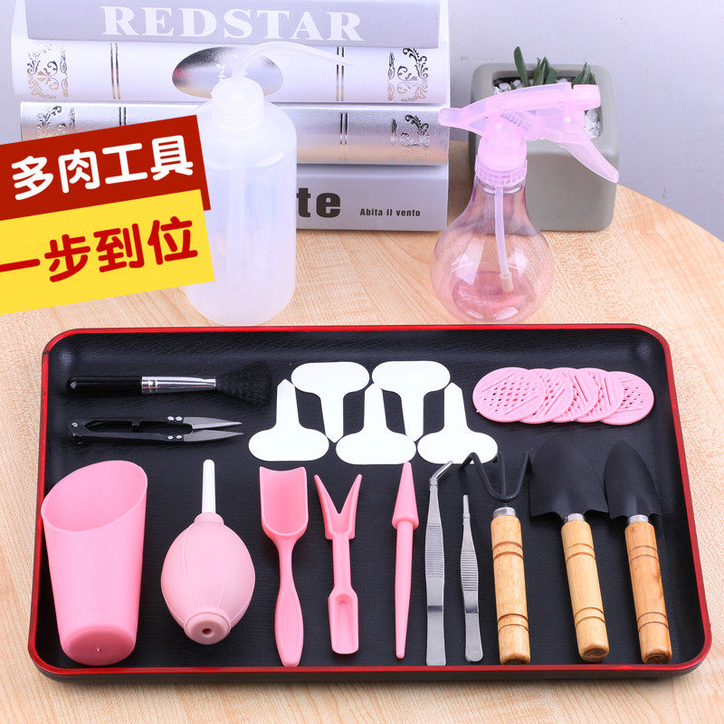 Succulent tool set combination Household special planting breeding watering cultivation tweezers small gardening three-piece set