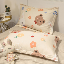 Pillow case a pair of net red pillow core liner sleeve pillow leather pillow set whole head couple 48cmx74cm home