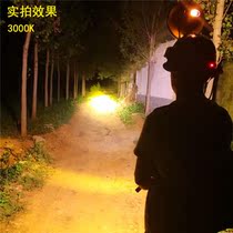 Headlight hernia lamp bulb h3 light red yellow light xenon lamp rabbit lamp fishing