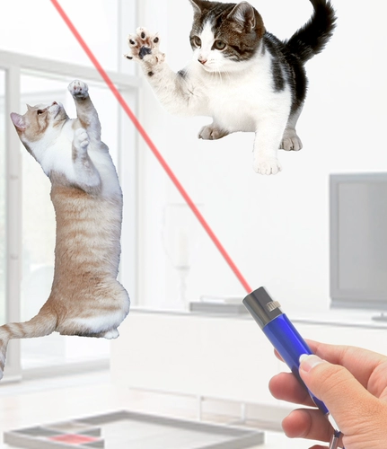 Игрушка с лазером, кот