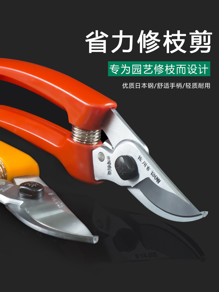 Japan imported Sagawa Yoshiyoshi Pruning shears Fruit picking shears Cactus gardening scissors Flower tree tools Bonsai garden tools