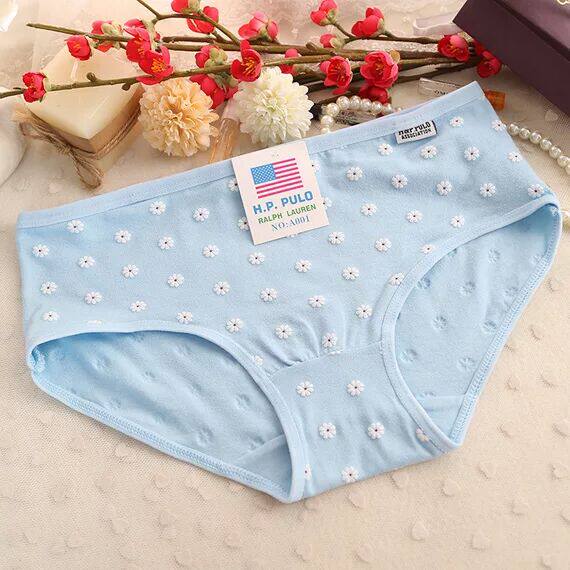 Slip jeunesse A001 en coton - Ref 648581 Image 17