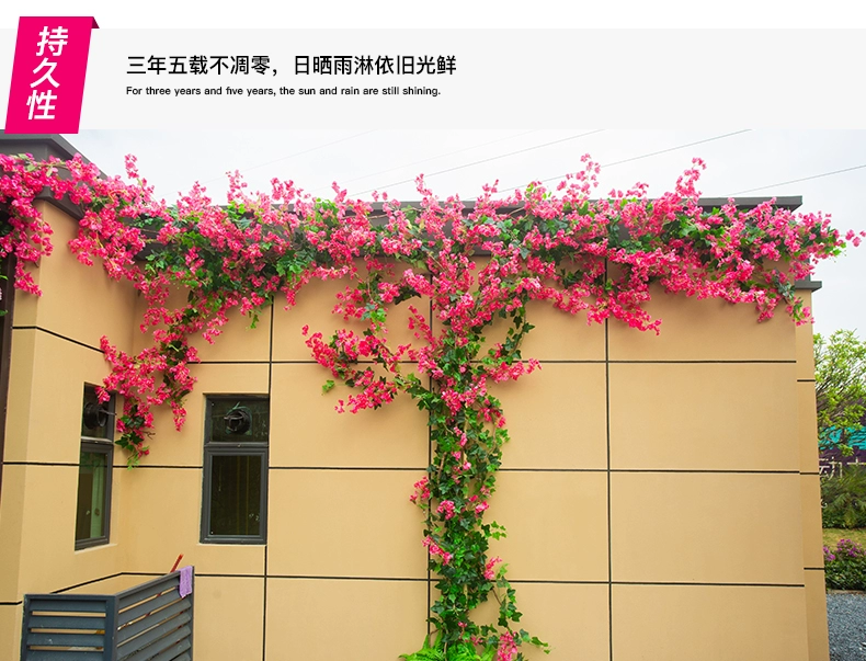 Bougainvillea mô phỏng hoa nho chết nhánh cây hoa giả mây điều hòa không khí trần treo tường uốn lượn trang trí nội thất hoa - Hoa nhân tạo / Cây / Trái cây