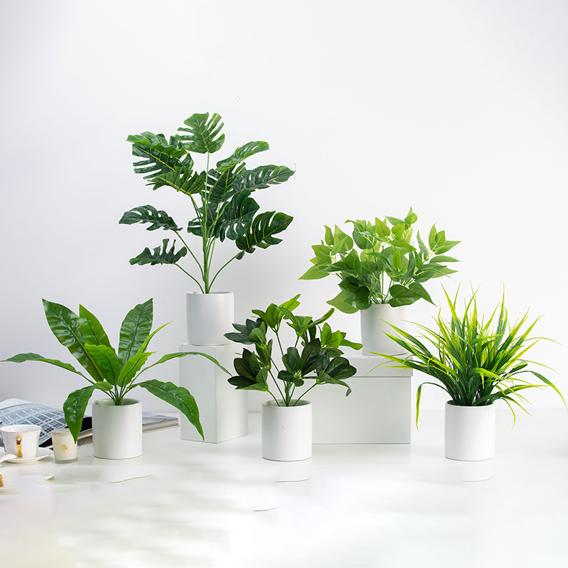 Net Red Emulation Green Plant Small Potted Nordic Living Room Table Turtle Back Leaf Suit Decoration Plant Tabletop Pendulum bonsai
