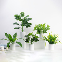 Net red simulation green plant small potted Nordic living room table turtle back leaf set decorative plant desktop ornaments bonsai