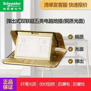 Новый компьютер Schneider E220 с двойной сетевой заземляющей вилкой и интерфейсом сетевого кабеля, скрытым слаботочным заземляющим разъемом
