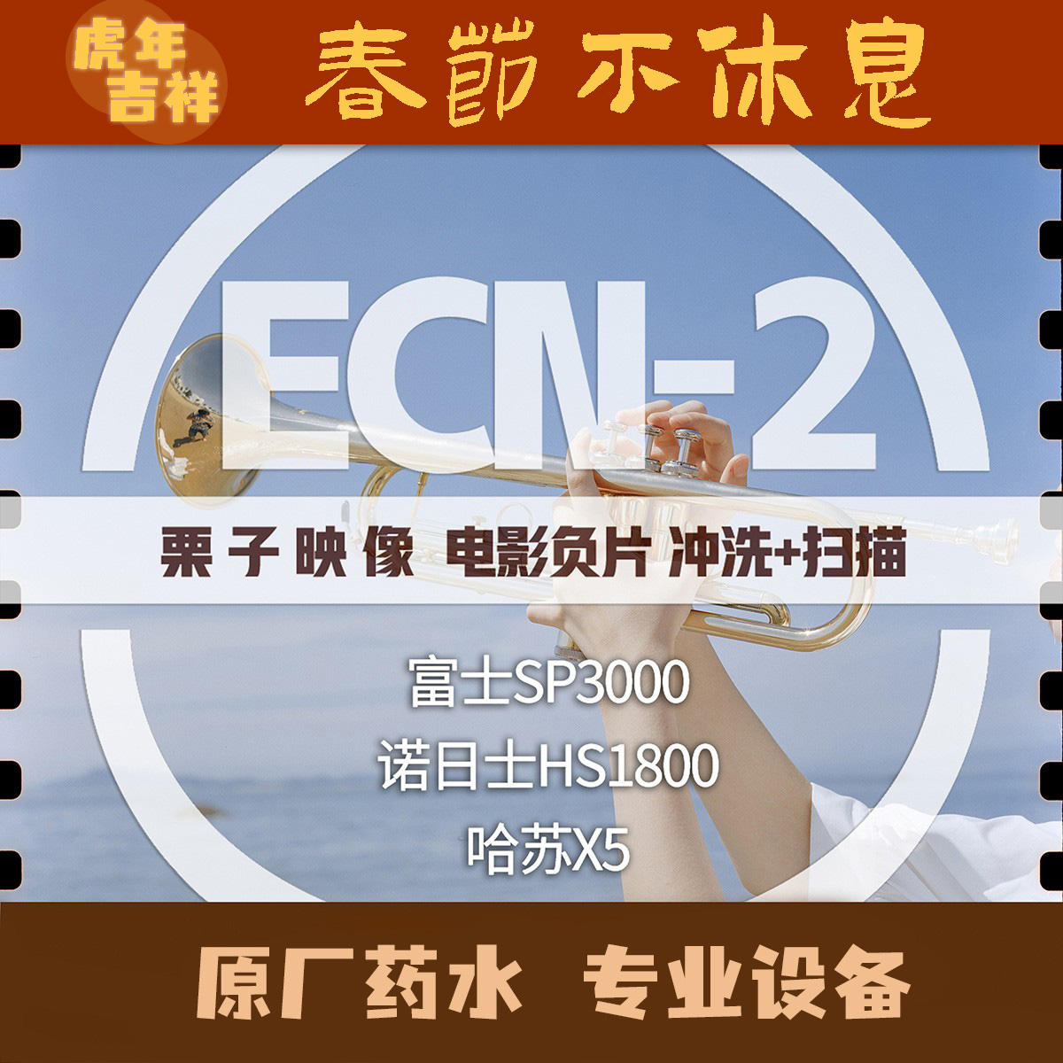 (Chestnut image) ECN2 color film roll film flush sweep negative scan 135120 Hasselblad x5