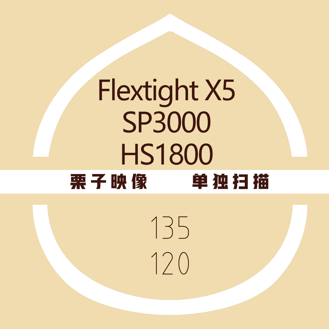 (Chestnut Image) Negatives Negatives of negatives Alone Sweep the Norges Fuji Khasu X5