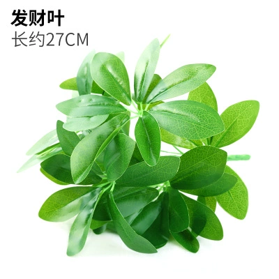 Зеленое растение Стенка Стены Растение настенные лужайки