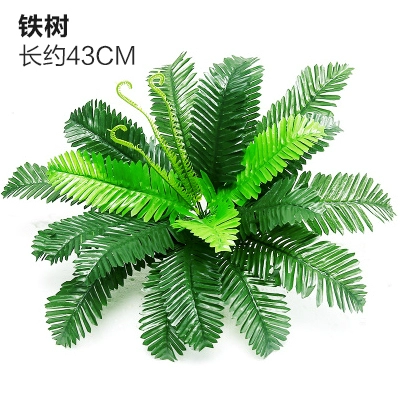 Зеленое растение Стенка Стены Растение настенные лужайки