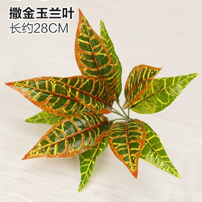 Зеленое растение Стенка Стены Растение настенные лужайки