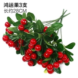 Зеленое растение Стенка Стены Растение настенные лужайки