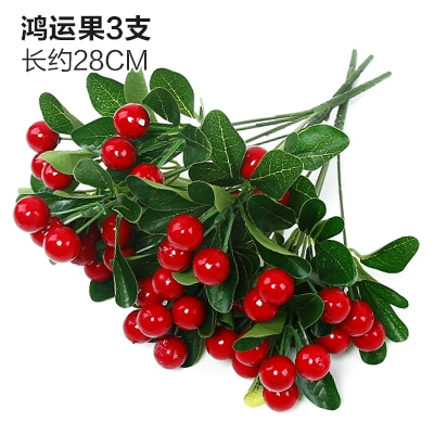 Зеленое растение Стенка Стены Растение настенные лужайки