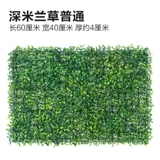 Зеленое растение Стенка Стены Растение настенные лужайки