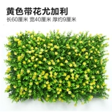 Зеленое растение Стенка Стены Растение настенные лужайки