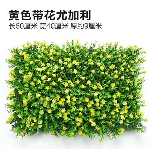 Зеленое растение Стенка Стены Растение настенные лужайки