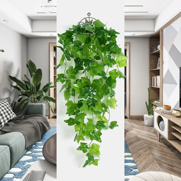 Товары от 格帆植物