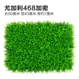 Зеленое растение Стенка Стены Растение настенные лужайки