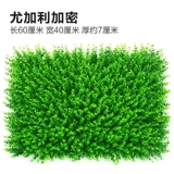 Зеленое растение Стенка Стены Растение настенные лужайки