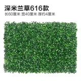 Зеленое растение Стенка Стены Растение настенные лужайки