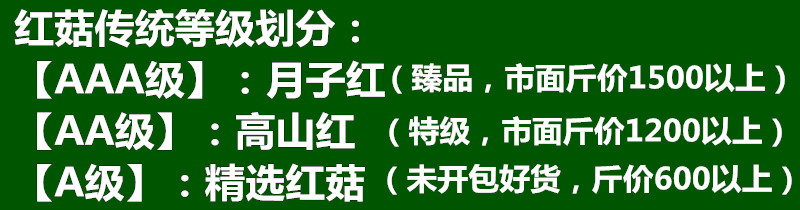 红菇福建野生红菇干货250g红蘑菇