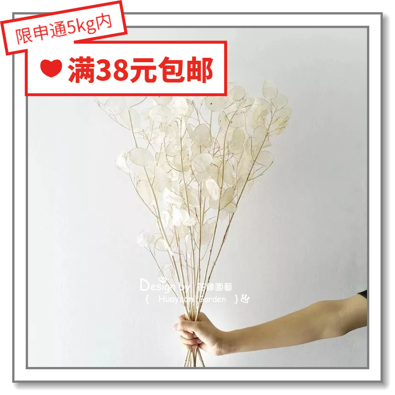 Flowers Breeding Pieces Imported Flowers*Dry Cutting Flowers*Bottle of Flower Art*Silver Fan*Silver Silver Silver Silver